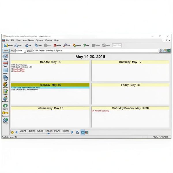 microsoft word